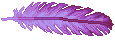 Purple feather